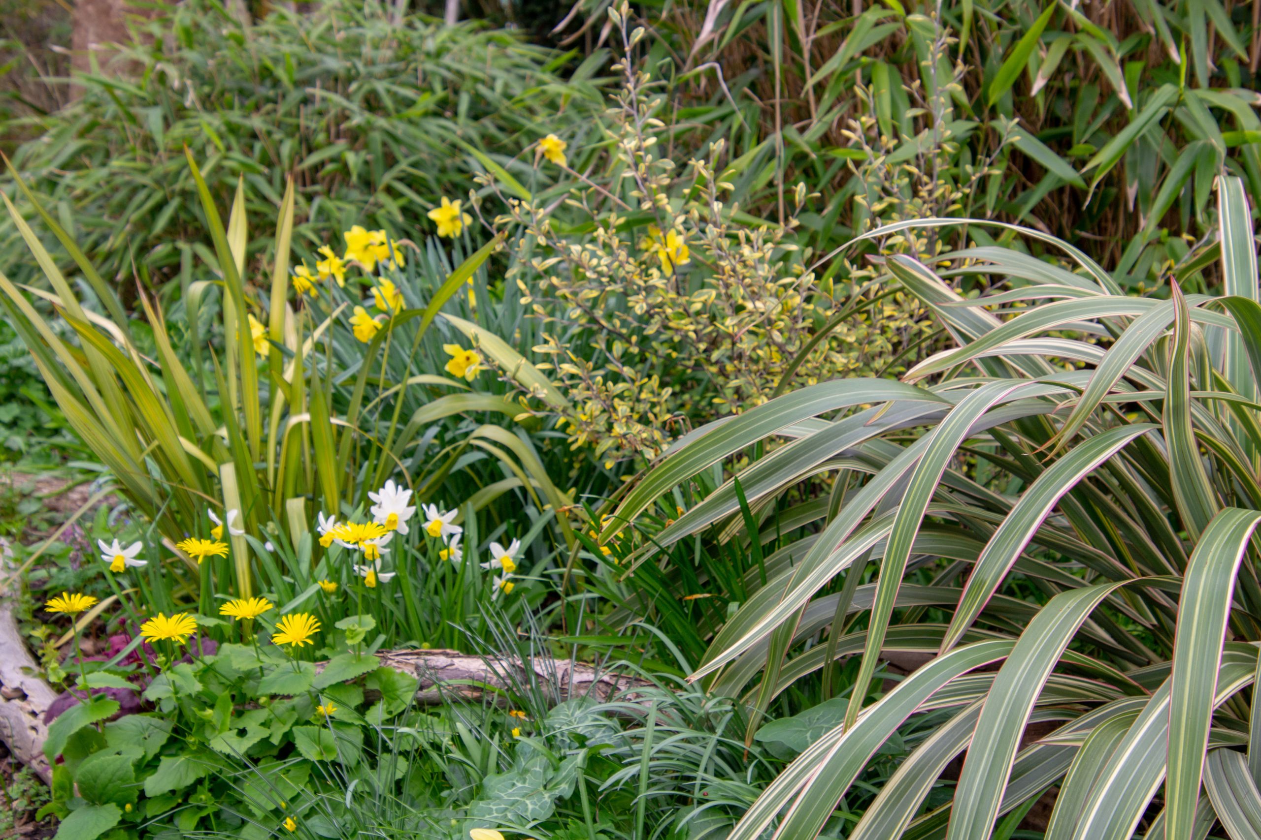 gardens at Wolfson